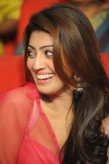 Attarintiki Daredi Thank You Meeting